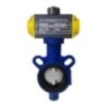 Wafer Type 600 mm Semi-Lugged Pneumatic Actuator Operated Butterfly Valve With SG Iron (Disc)