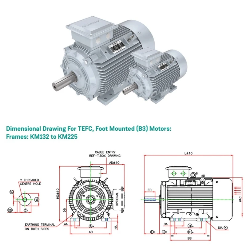  KOEL KM3.18T5.BCC.TSS.B03 25 HP Induction Motor image-4