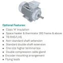  KOEL KM3.22T0.CNC.TSS.B03 30 HP Induction Motor image-6