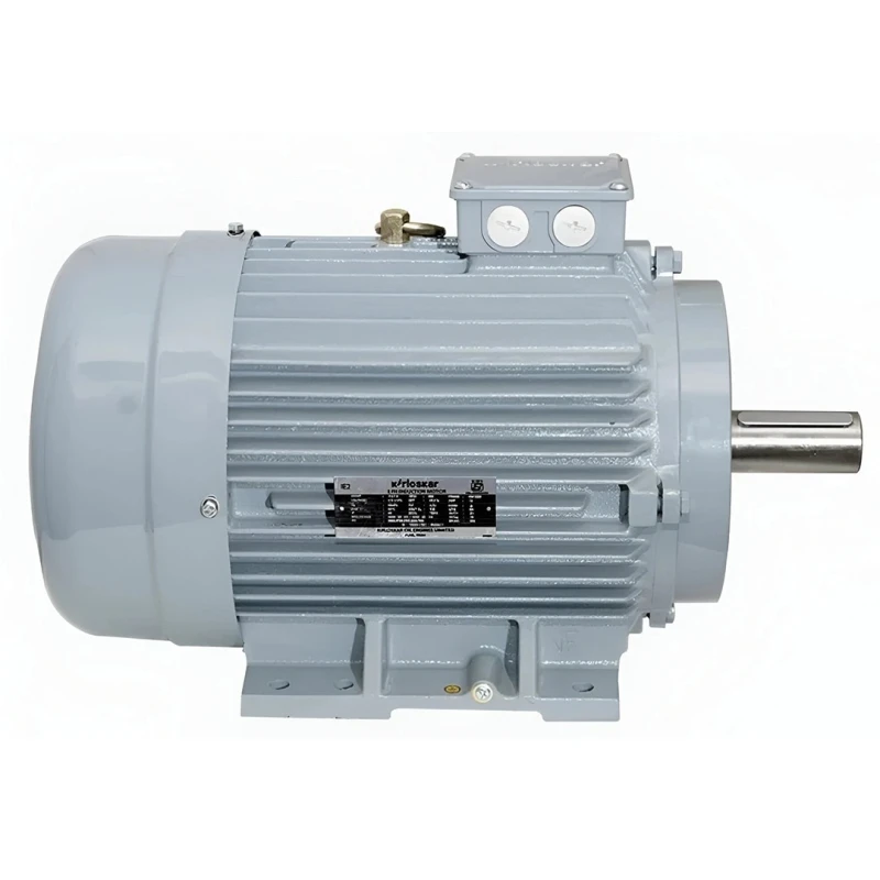  KOEL KM2.4T00.BJA.B03.TSS 5.5 HP Induction Motor image-3