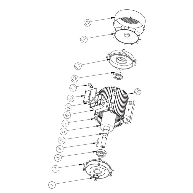  KOEL KM2.4T00.BJA.B03.TSS 5.5 HP Induction Motor image-6