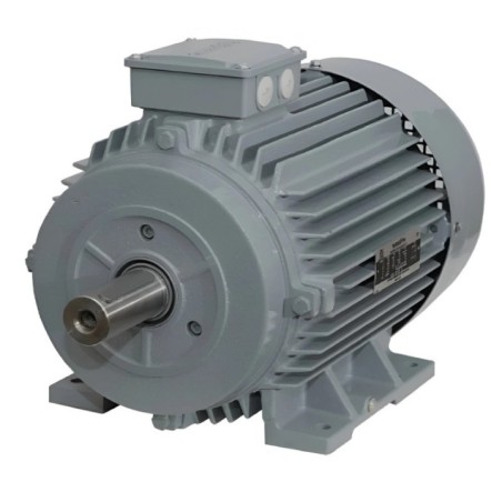 KOEL KM2.1T50.CIA.B03.TSS 2 HP Induction Motor image-1