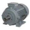KOEL KM2.45T0.AQC.TST.B03 60 HP 2 Pole Three Phase IE2 Squirrel Cage Induction Motor