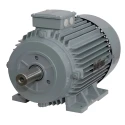 KOEL KM2.30T0.CQC.TST.B03 40 HP Induction Motor image-1