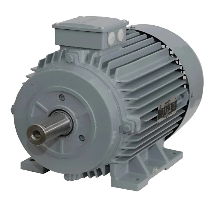 KOEL KM2.1T10.CHC.B03.TSS 1.5 HP Induction Motor image-1