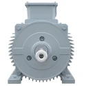  KOEL KM2.9T30.CLC.B03.TSS 12.5 HP Induction Motor image-2
