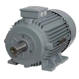 KOEL KM2.0T55.DHC.B03.TSS 0.75 HP Induction Motor image-1