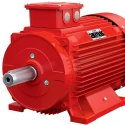  KOEL KM2.15T0.AKC.B03.TSN 20 HP Fire Fighting Induction Motor image-4