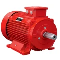  KOEL KM2.45T0.ANC.B03.TSN 60 HP Fire Fighting Induction Motor image-2
