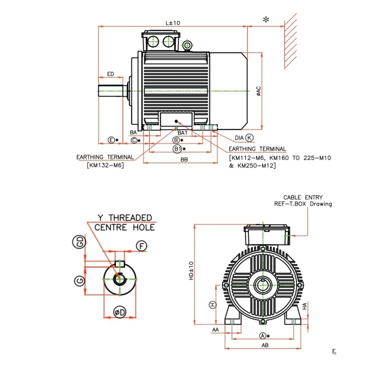  KOEL KM2.30T0.ACC.B03.TSL 40 HP Fire Fighting Induction Motor image-5