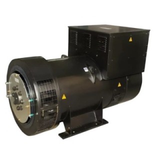 Crompton Greaves G1R160SM1F Brushless Alternator