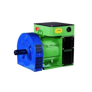 Crompton Greaves G2S160S1B Slip Ring Alternator