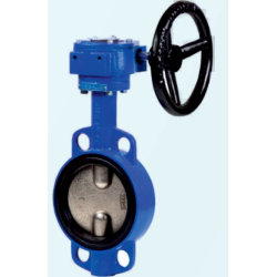 butter-y-valve-with-gear-operated-c-i-disc-40-mm-12644