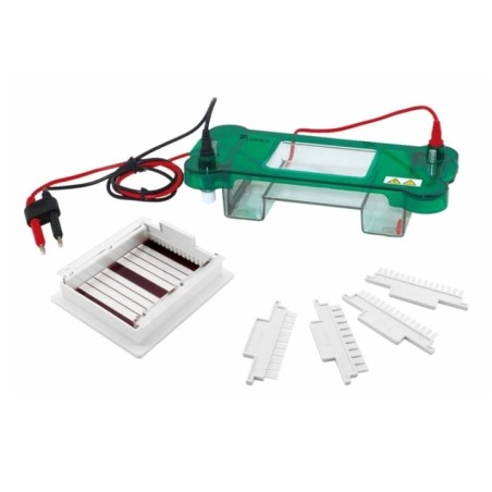 Labtron LHES-A11 Horizontal Electrophoresis System image-1