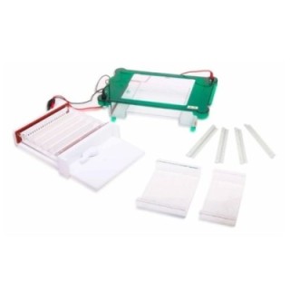 Labtron LHES-A12 Horizontal Electrophoresis System image-1