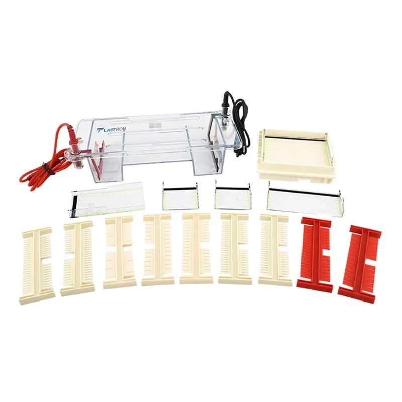 Buy Labtron Horizontal Electrophoresis System LHES-A14 online