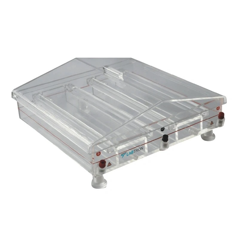 Labtron LHES-B10 Horizontal Electrophoresis System (DUAL TANK) image-1