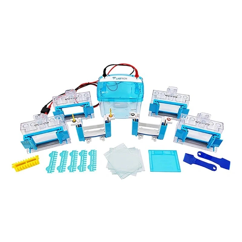 Labtron LVES-A10 Vertical Electrophoresis System image-1