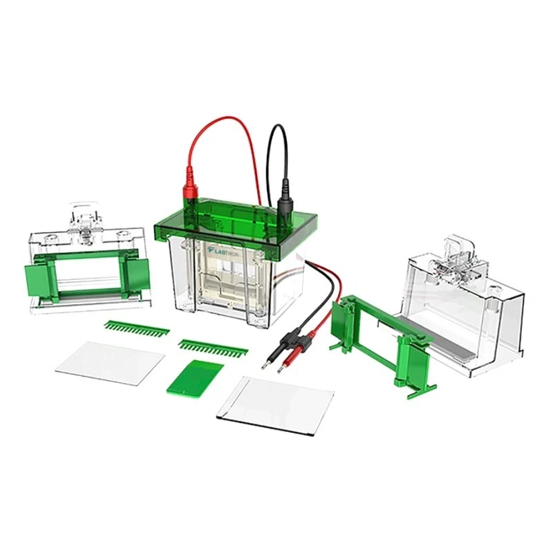Labtron LVES-A11 Vertical Electrophoresis System image-1