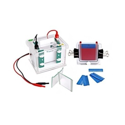 Labtron LVES-A12 Vertical Electrophoresis System image-1