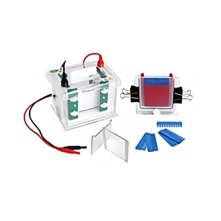 Labtron LVES-A12 Vertical Electrophoresis System image-1