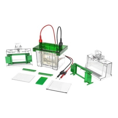 Labtron LVES-A13 Vertical Electrophoresis System image-1