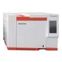Labtron LGC-B13 Gas Chromatography image-1