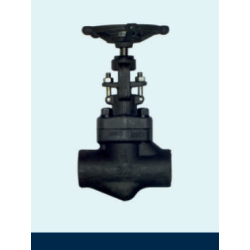 forged-steel-globe-valve-12701