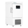 -86 °C Ultra Low-Temperature Upright Freezer EUF-C31