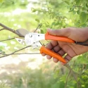  Falcon Anvil Type Pruning Secateur ECONOMY-M2 image-5
