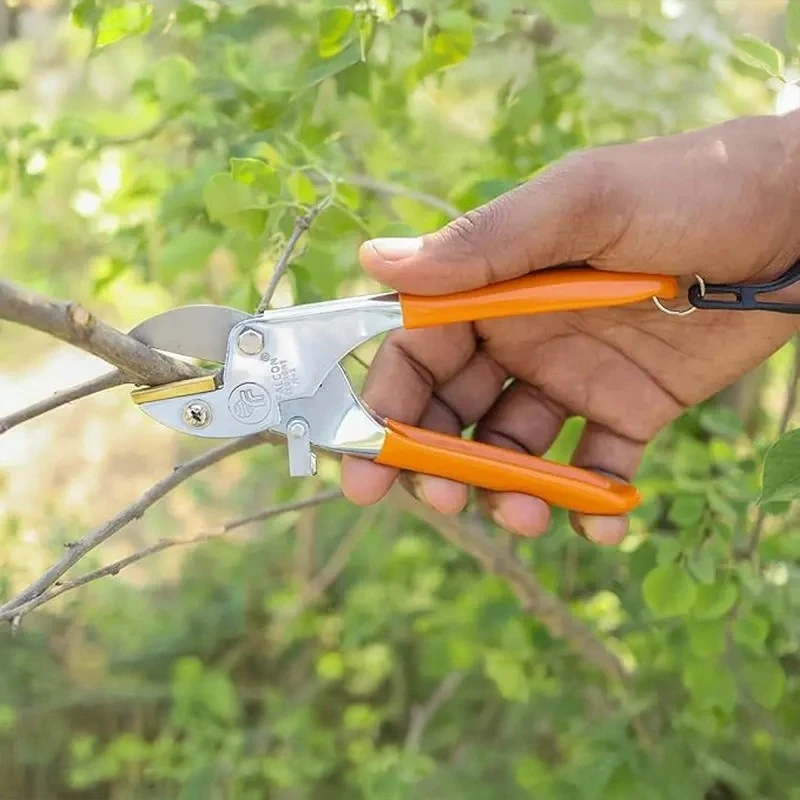  Falcon Anvil Type Pruning Secateur ECONOMY-M3 image-5