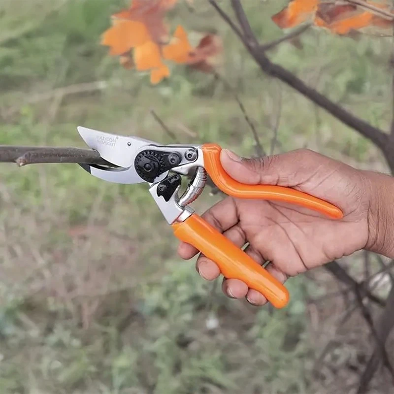  Falcon By Pass Type Pruning Secateur REVOCUT image-5