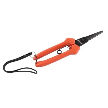 Falcon by Pass Secateur Rose Harvester RUCHI image-1