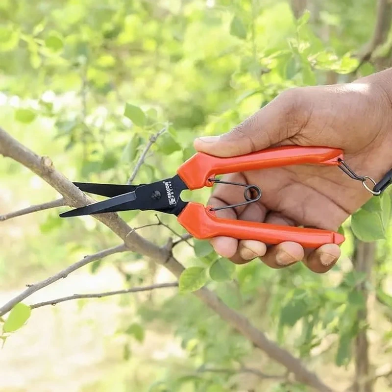  Falcon by Pass Secateur Rose Harvester RUCHI image-5