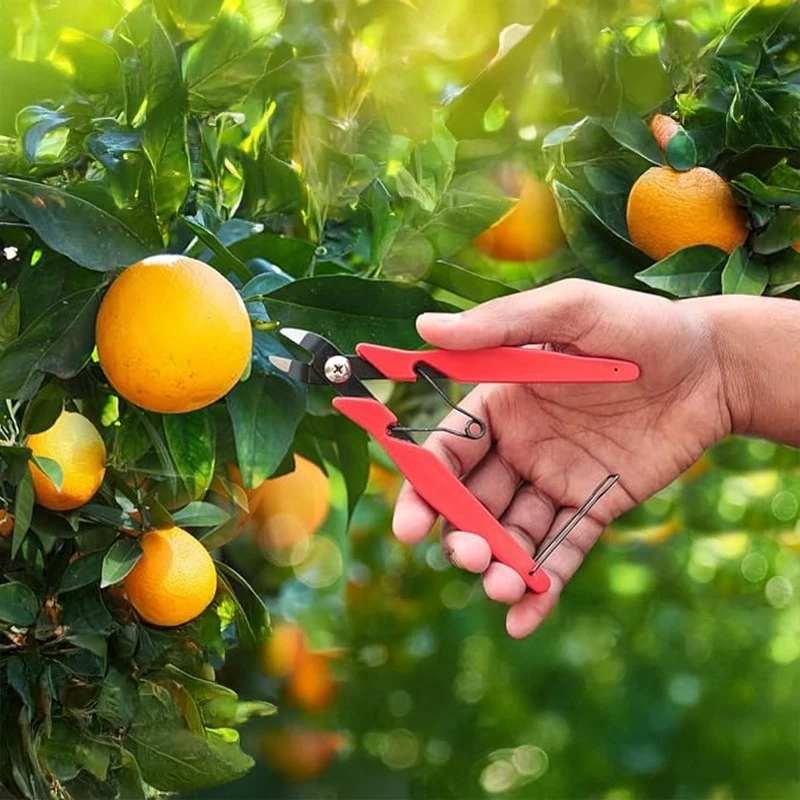  Falcon Fruit & Vegetable Harvester For Hard Stems FKC-91 image-4