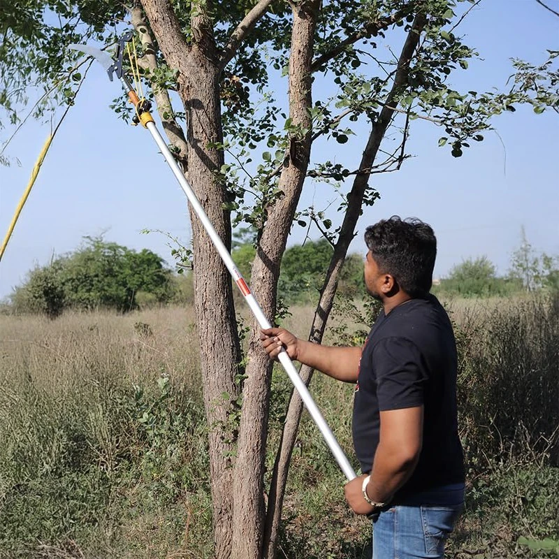 Buy Falcon Tree Pruner FTP-224 directly from Top Manufacturers