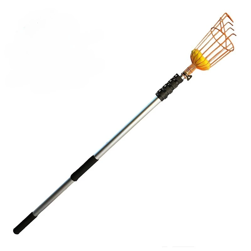 Falcon Fruit Gatherers FFG-231 image-1