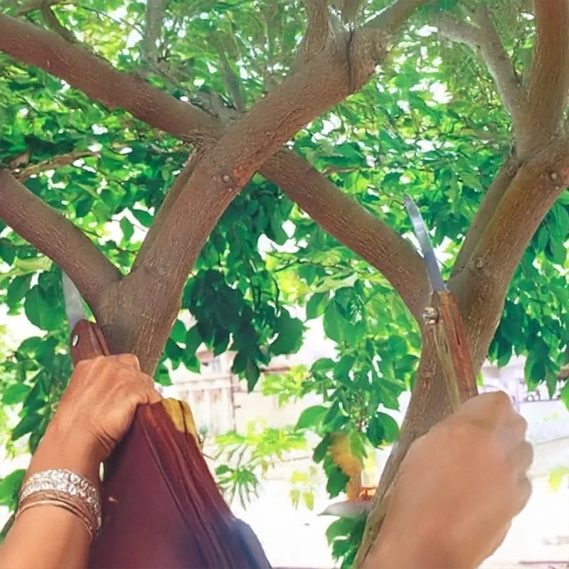  Falcon Pruning Saws FFS-300 image-5