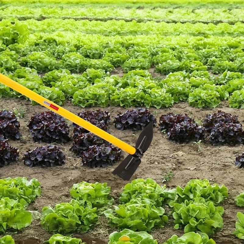  Falcon Garden Hoe Without Handle FGH-2 image-5