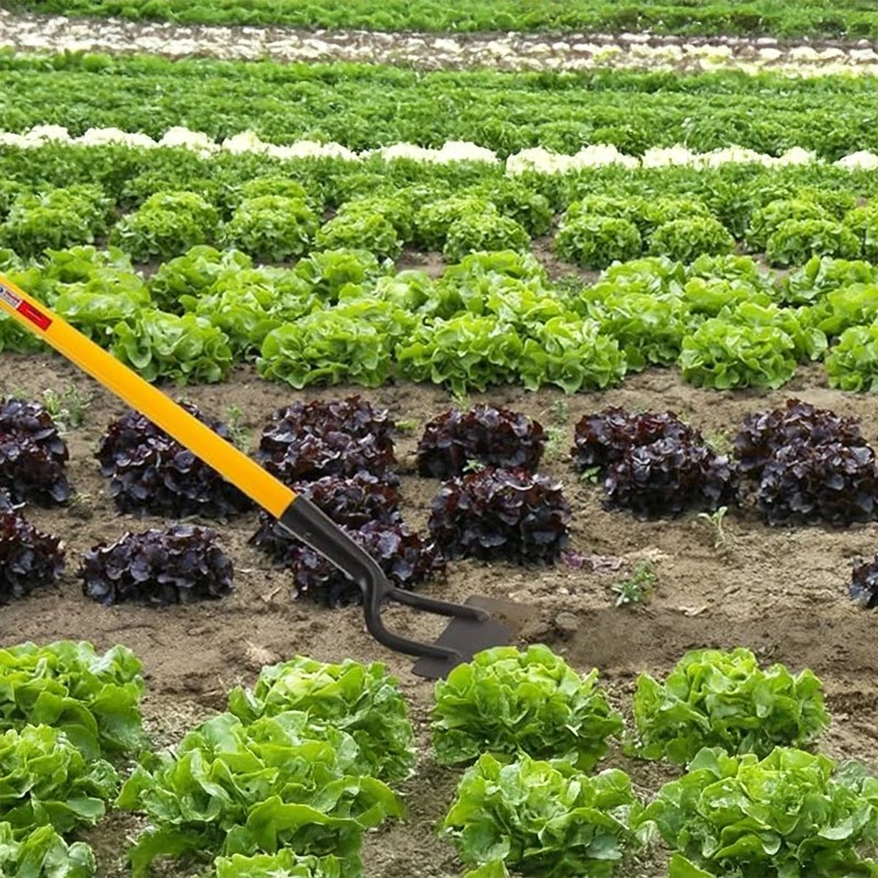  Falcon Dutch Hoe Without Handle FH-514 image-5