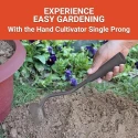  Falcon Hand Cultivator Single Prong Without Handle FCH-301 image-5