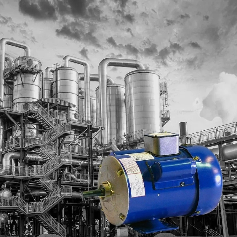  Crompton B48 0.33 HP Motor Image-4