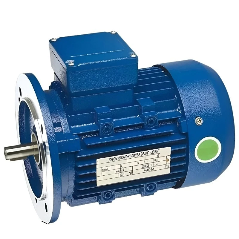  Crompton IEC 100 3 HP General Purpose Motor Image-4