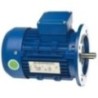 Crompton Greaves 80S 2 HP 4 Pole Single Phase General Purpose Motor Millenium Series, GF6938