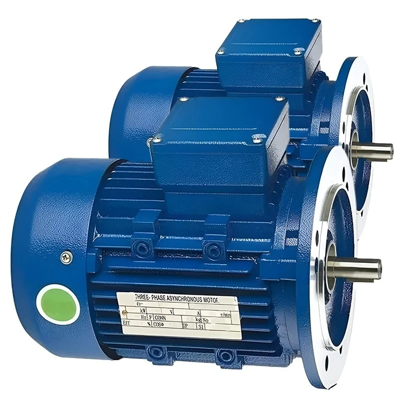  Crompton 100S 2 HP General Purpose Motor Image-2
