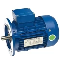  Crompton 100S 2 HP General Purpose Motor Image-4