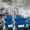  Crompton 100S 2 HP General Purpose Motor Image-7