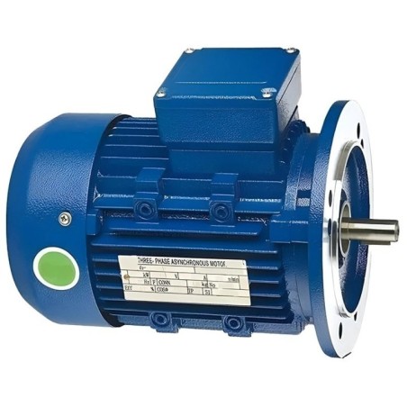 Crompton IEC 71 0.5 HP General Purpose Motor Image-1