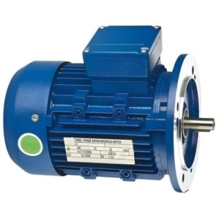 Crompton B56 2 HP Motor Image-1