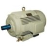 Crompton Greaves 80 1 HP 4 Pole Single Phase General Purpose Motor Rhino Series